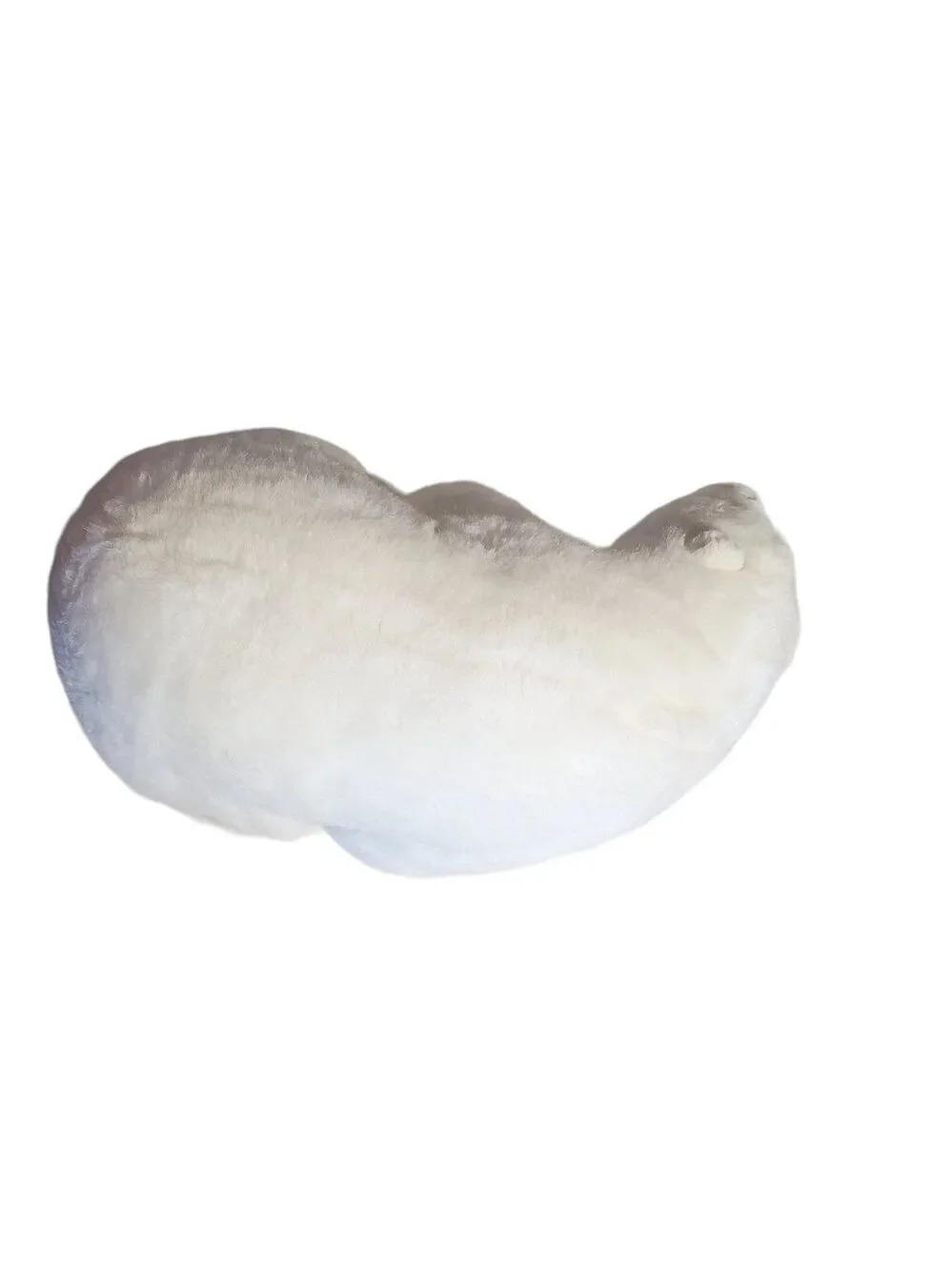 Seaworld wear nose